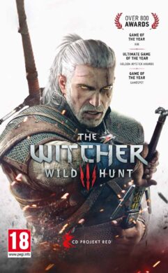 The Witcher 3 Wild Hunt Nintendo Switch